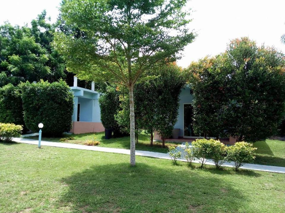 Atmyhomestay Bangsaphan バンサパン エクステリア 写真